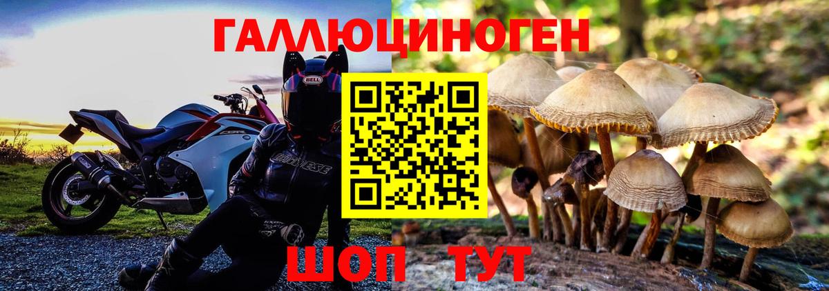 Галлюциногенные грибы MAGIC MUSHROOMS  Вход с VPN  Галлюциногенные грибы MAGIC MUSHROOMS  Новочеркасск 